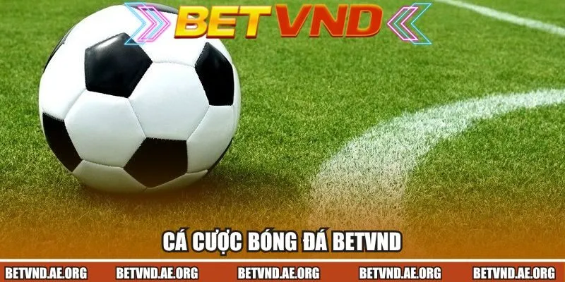 Cá cược bóng đá