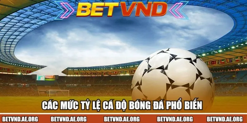 Các mức tỷ lệ cá độ bóng đá phổ biến