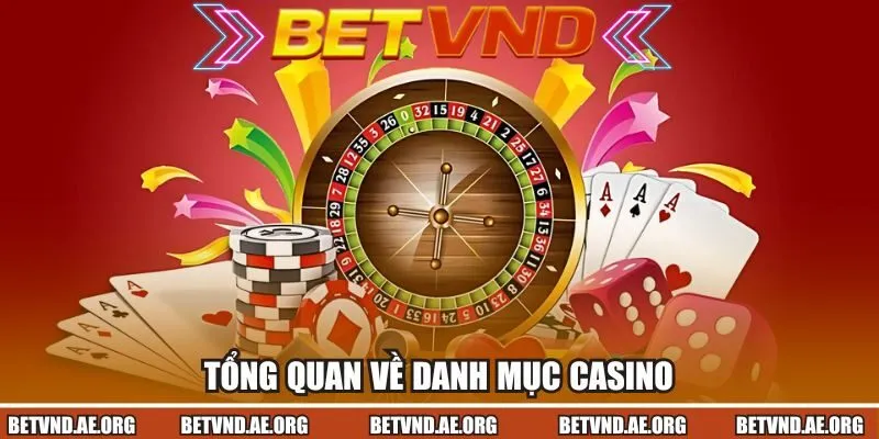 Tổng quan về danh mục casino