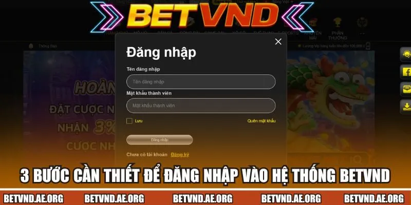 3 bước truy cập tài khoản BETVND