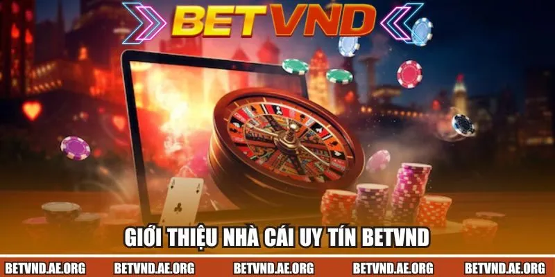 Giới thiệu nhà cái uy tín Betvnd