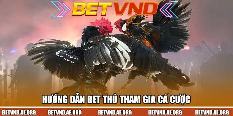 Hướng dẫn bet thủ tham gia cá cược game đơn giản