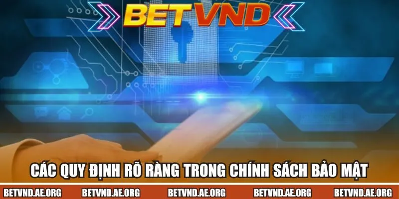 Khám phá các quy định rõ ràng trong chính sách bảo mật