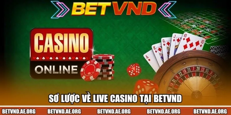Sơ lược về Live Casino tại Betvnd