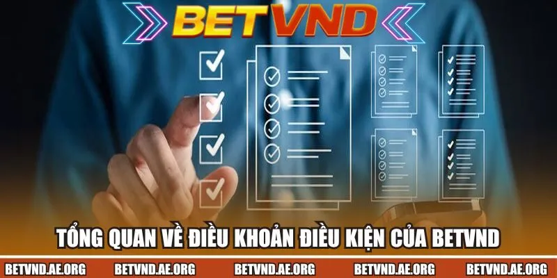 Tổng quan về điều khoản điều kiện của Betvnd