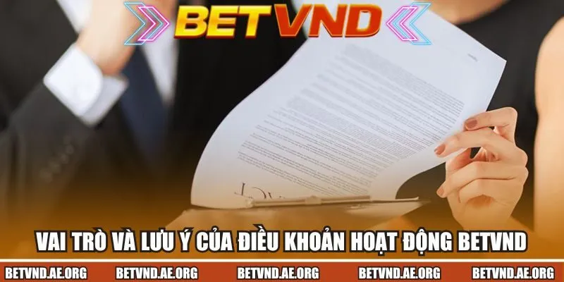 Vai trò và lưu ý của điều khoản hoạt động Betvnd